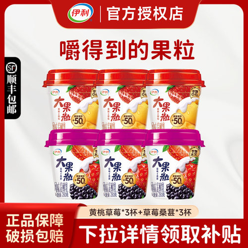 伊利大果粒酸奶260g风味发酵乳
