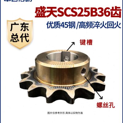 盛天链轮SCS链轮加工成品 2分SCS25B35齿 高精度耐磨损 申马传动