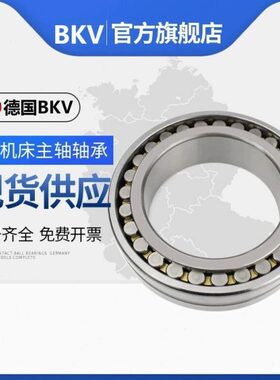 德国BKV机床主轴轴承NN3005K/w33 NN3006K/W33/W33/P5/P4/P2