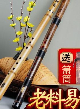 短萧乐器专业演奏初学入门素紫竹洞箫笛F正反手八孔G调一节古风潇