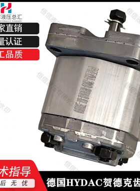 定制齿轮泵可替代进口ATOS阿托斯PFG系列 贺德克PGE101PGE102油泵