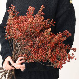 山归来干花花束蔷薇果红果干果复古插花永生花天然风干高级感真花
