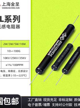 RI80黑色无感高压绝缘耐压检测校准标定电阻2W5W10W1M10M100M1G1%