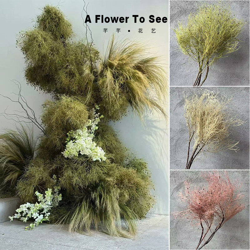 永生花柔丝梦幻草天然干