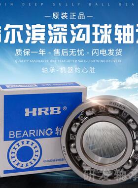 HRB哈尔滨轴承6410 6412 6413 6414 6415 6416 2RZ 2Z N