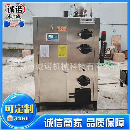 花房取暖蒸汽机水泥桥梁养护蒸汽锅炉燃烧生物质颗粒蒸汽发生器