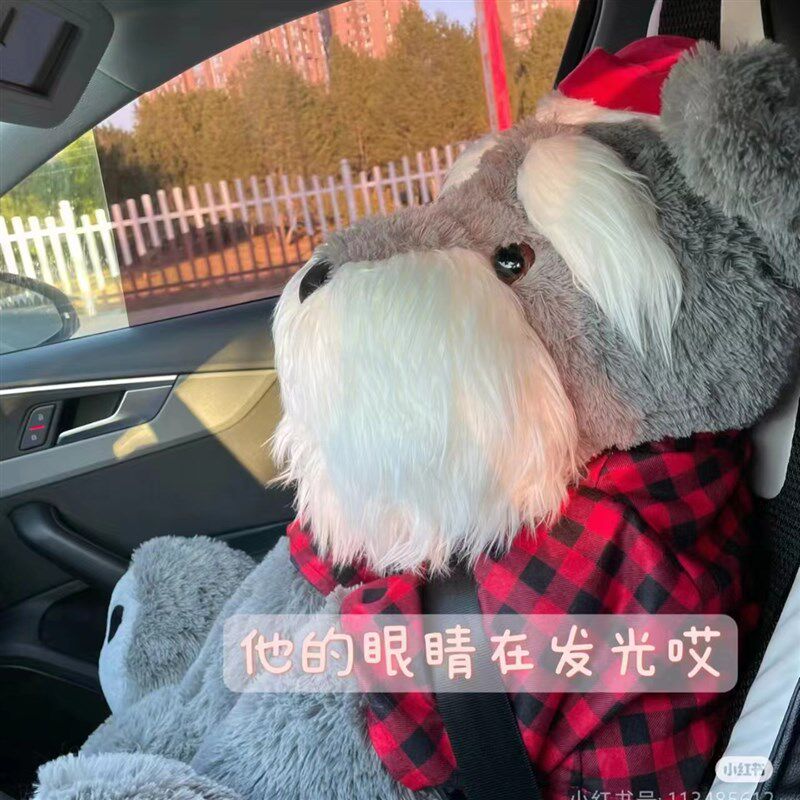 山姆雪纳瑞狗狗公仔圣诞大号毛绒玩具大娃娃女生睡觉抱枕礼物玩偶