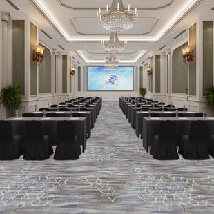 防火会议大厅地毯满铺会议室办公室接待室大面积商用整铺阻燃现货