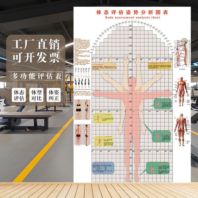 柔韧性测试多功能体态评估表健身房私教人体姿态图墙贴体测表壁画