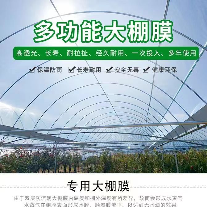 整卷大棚膜PE加厚塑料布高透光蓝色无滴膜塑胶布葡萄避雨棚