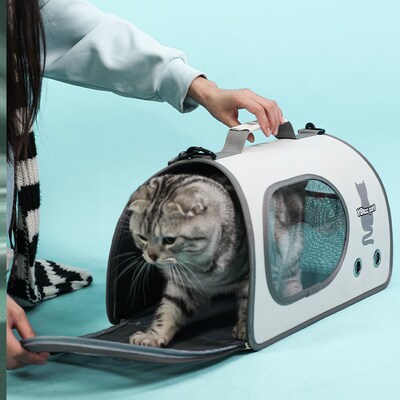 猫包外出便携猫咪背包太空舱宠物包大容量轻便款狗狗长途坐车神器