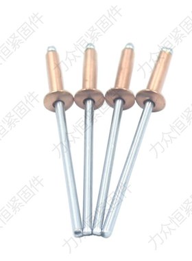 紫铜金色抽芯铆钉圆头拉钉黄色M2.4M3.2M4M4.8*5x6x8x10x12x14x16