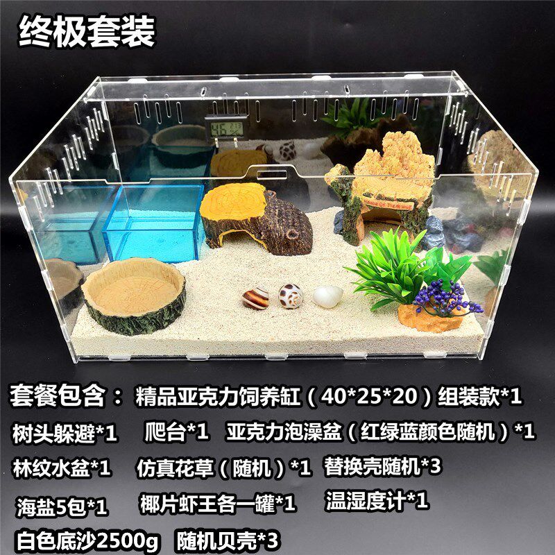 寄居蟹新手儿童套装 草莓 短腕 深紫 灰白寄居蟹 主题套装包邮