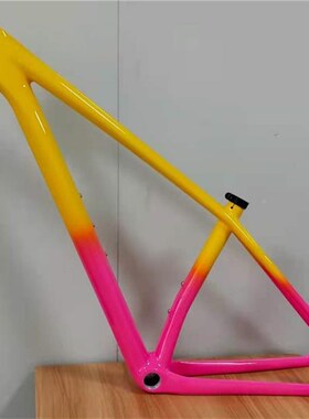 新品纤维架架子碳EPI2020C山地车架超轻纤维车碳架29寸碳纤Z车T10