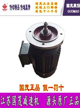 江苏常州国茂减速机电机GDVP系列变频调速三相异步电动机