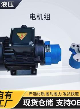 CB-B直插型齿轮泵电机组TCBW锯床油泵电机总成液压泵节能高效