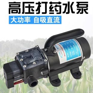 12V24V100W壓力開(kāi)關(guān)電動(dòng)自吸水泵隔膜泵高壓果樹(shù)植保打藥農(nóng)用便攜