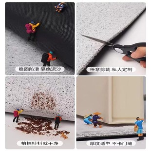 丝圈耐脏防滑进门地毯家用玄关门口换鞋 拉布布入户门地垫新款 脚垫
