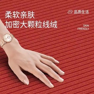 水晶绒入户门地垫门口脚垫高端轻奢防滑蹭土家用玄关地毯 新款