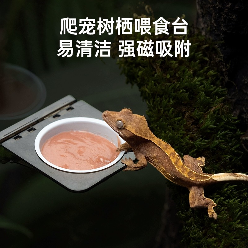 树栖爬宠喂食盆磁吸果泥食盆水盆R属守宫睫角盖勾亚挂壁喂食器
