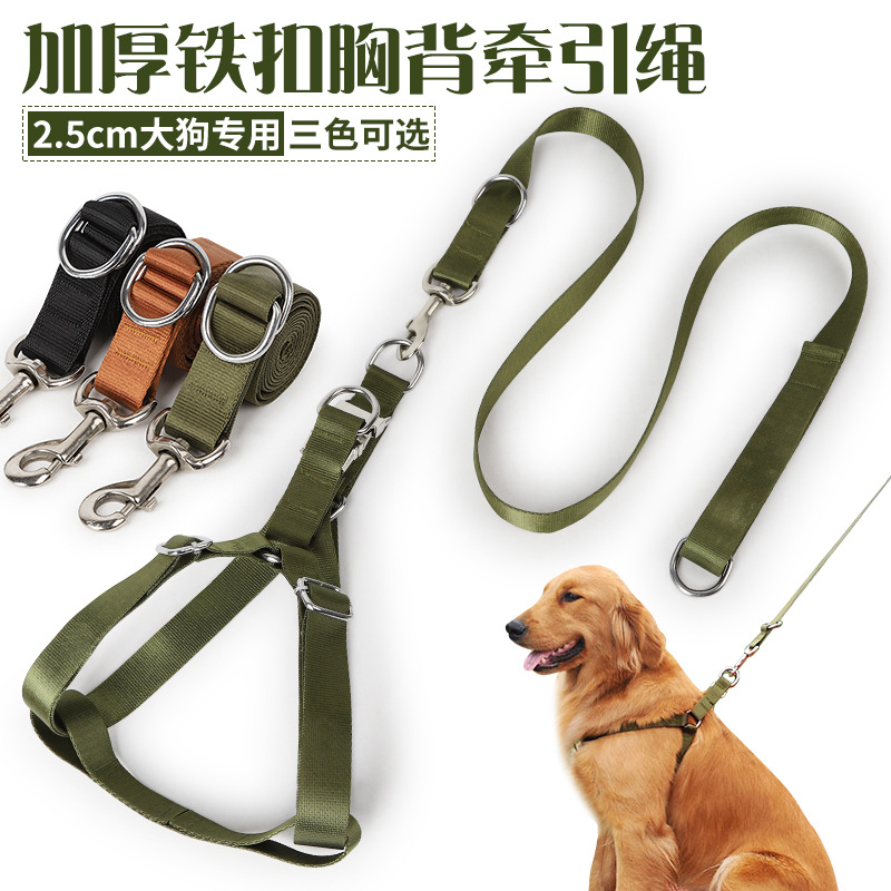 金毛狗链子大型犬狗狗牵引绳带胸背带遛狗绳子中型萨摩耶宠物用品