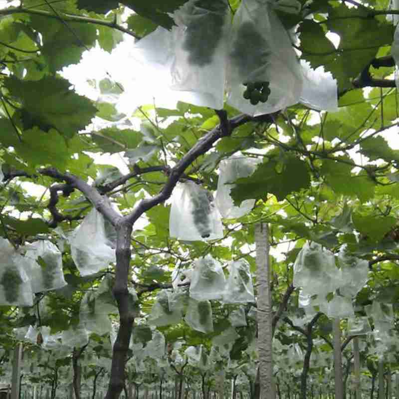 无纺布葡萄套袋专用袋免邮防鸟防虫袋杨桃柚子袋莲雾果袋可定做