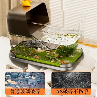 乌龟缸桌面带晒台水陆两栖生态缸办公室家用客厅小型造景混养鱼缸
