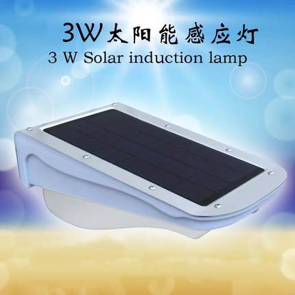 户外零电费大3W太阳能LED灯人体红外线感应照明观景装饰壁灯