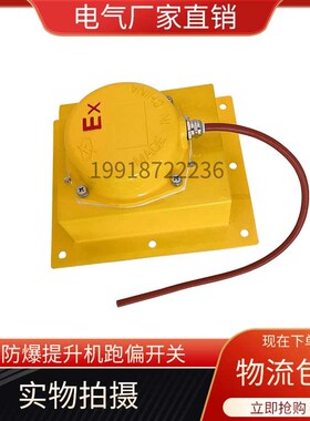 提升机跑偏开关BTDP-I防爆嵌入式防偏保护装置WTDP-1胶带机刮板机