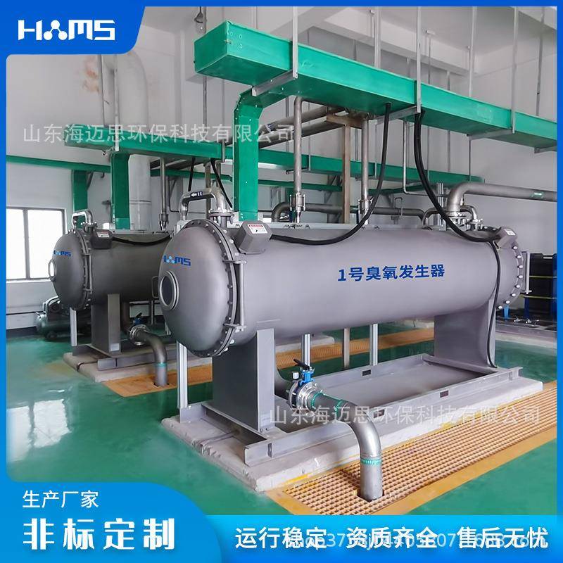 智能操控5kg臭氧发生器自来水厂污水厂水处理设备工业臭氧机