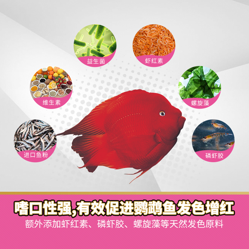 血鹦鹉鱼饲料增红增艳鱼食热带鱼发财鱼招财鱼增色小颗粒罗汉鱼粮