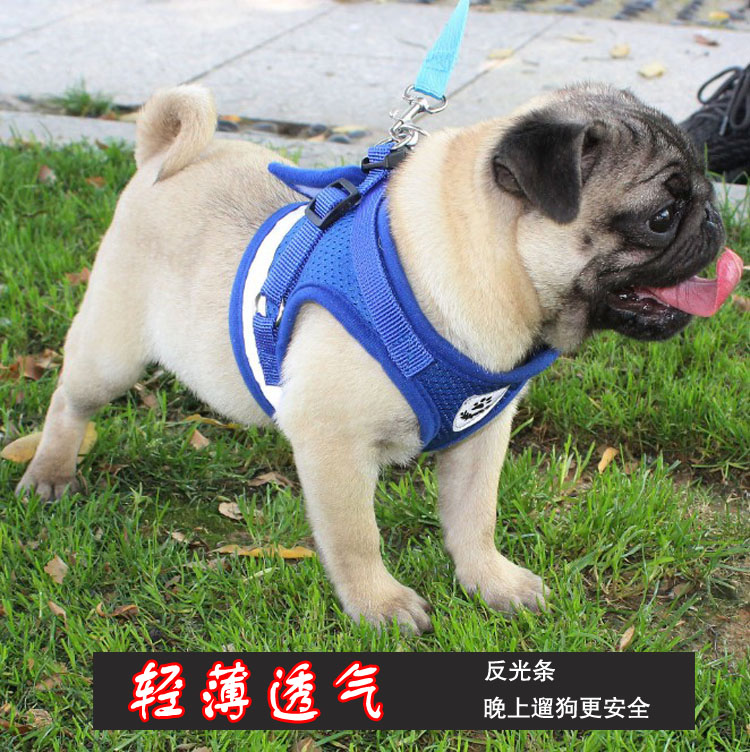带网格透气夜间反光背心式小狗狗牵引绳不勒脖子胸背套胸背带牵引