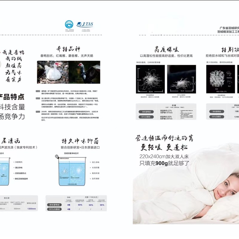 2025亚兰绒新款红嘴雁鸭绒保5A级气被空调被亚兰羽绒被冬被
