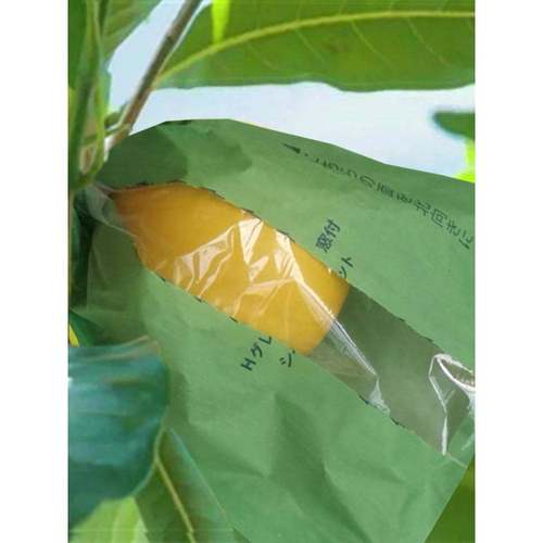 黄晶果套袋专用袋热情果黄金百香果袋鸡蛋果百味果蛋黄果水果保护