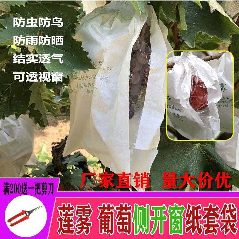 莲雾套袋防虫袋专用释迦葡萄纸袋防水防雨水果袋子包果袋保护莲雾