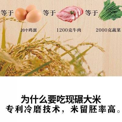 碾米机家用全自动鲜米多功智能稻脱谷脱剥壳胚芽精米打谷糙米磨皮