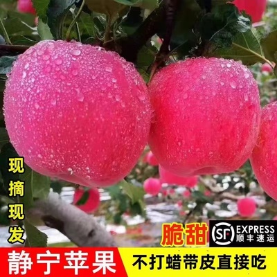 甘肃静宁红富士苹果当季新