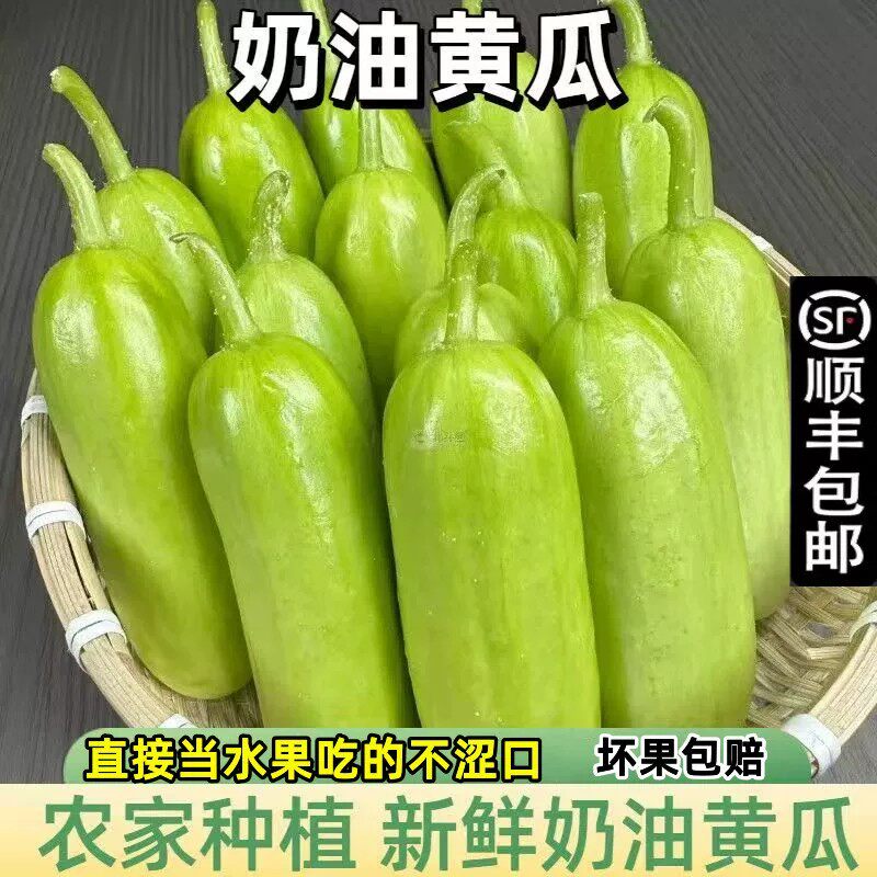 顺丰山东潍坊无刺牛奶白玉小黄瓜现摘现发奶油黄瓜小青瓜蔬菜水果