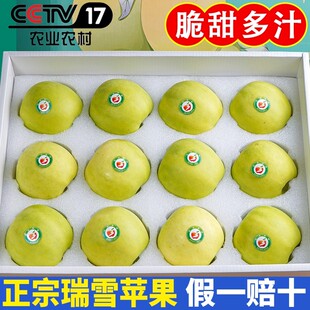 陕西白水瑞雪苹果新鲜水果当季糖心脆甜丑苹果瑞阳翡翠青苹果礼盒