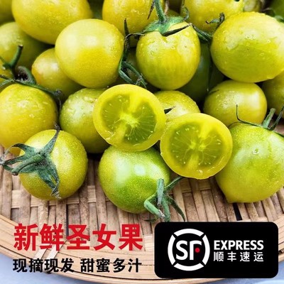 正宗山东潍坊寿光青甜清2