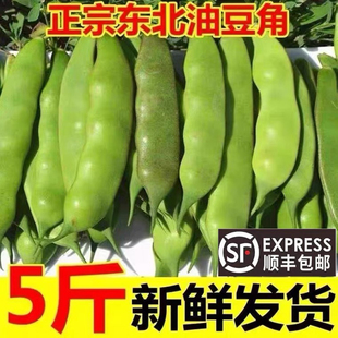 顺丰现摘东北特产油豆角一点红开锅烂新鲜当季蔬菜九月青面扁豆角