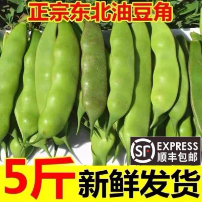 顺丰现摘东北特产油豆角一点红开锅烂新鲜当季蔬菜九月青面扁豆角