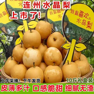 正宗连州水晶梨潭岭水晶梨脆冠梨当季新鲜水果现摘现发翠冠梨蜜梨