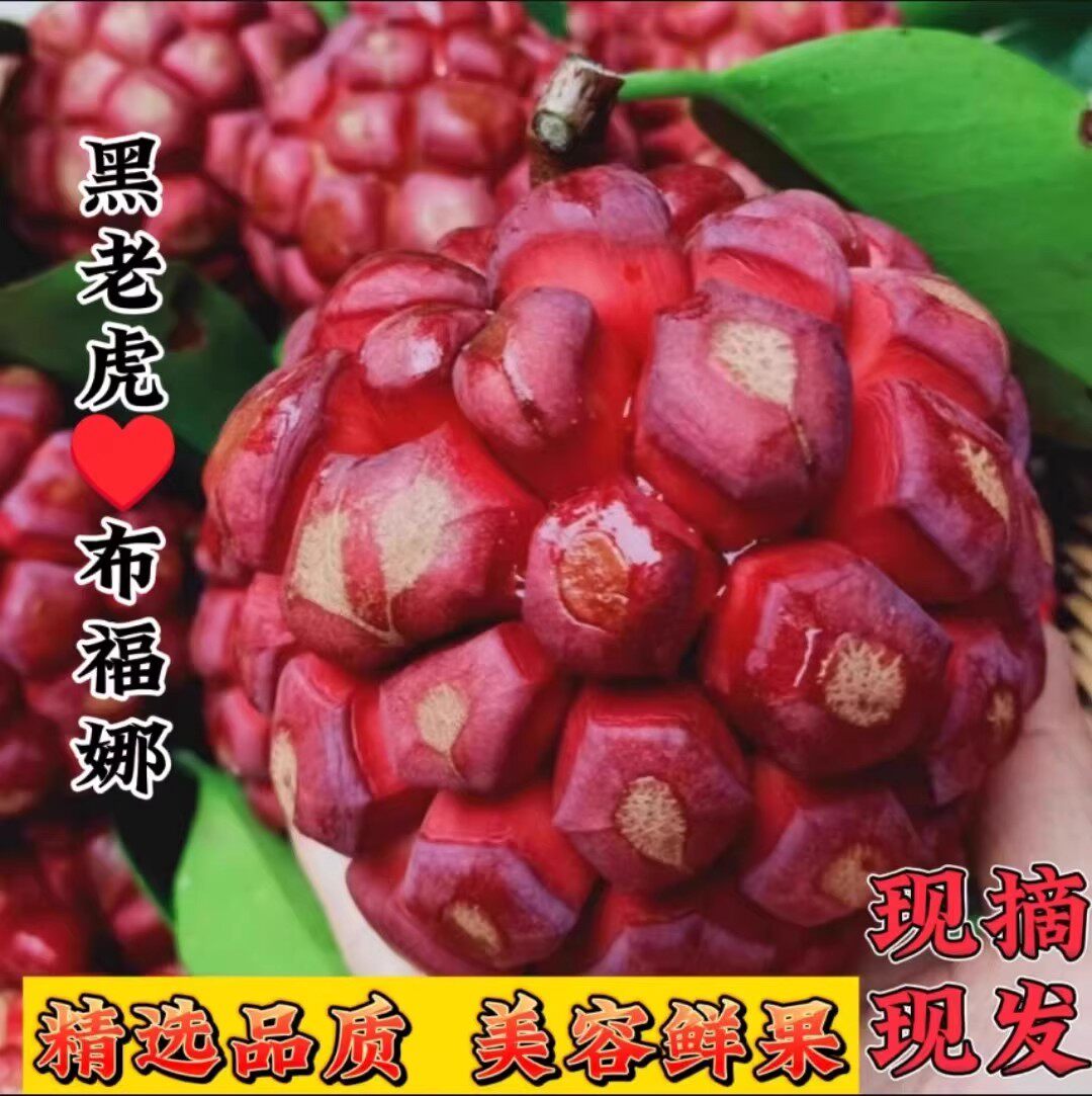 黑老虎布福娜果恶魔果实新鲜稀奇古怪的水果现摘现发当季稀奇