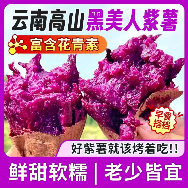 正宗泰紫薯一号帝姬黑美人