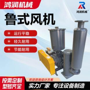 鲁式鼓风机养殖增氧龙铁风机负压低噪音真空泵气力输送鲁式风机
