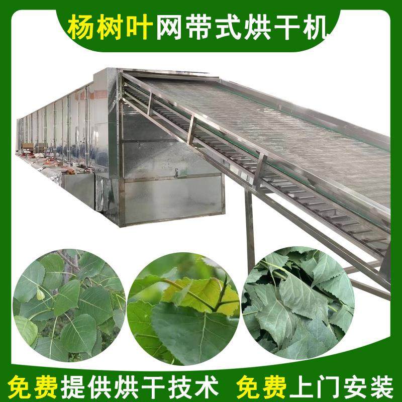 杨树叶烘干机带式杨树叶干燥机连续式网带烘干机厂家