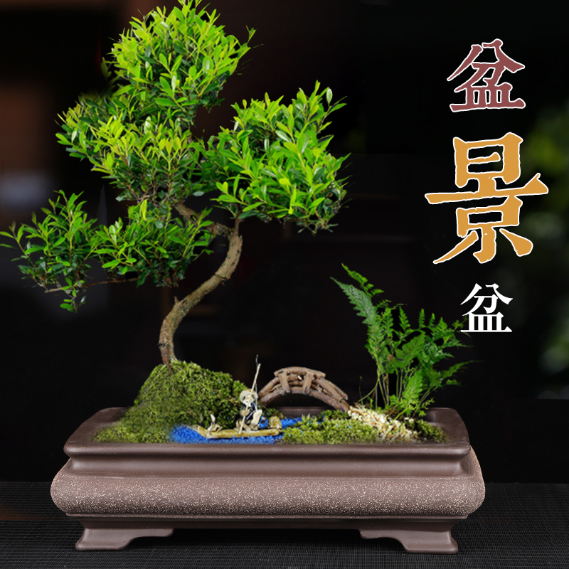 紫砂花盆 大号盆景盆长方形桌面地面创意陶瓷精品假山造景 中国风