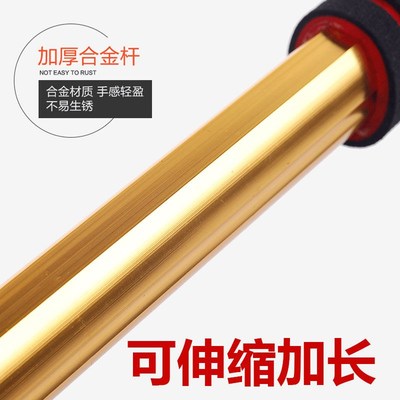 汽车用洗车拖把专用扫灰擦车除尘掸子胆子油蜡托弹子察车灰尘扫把