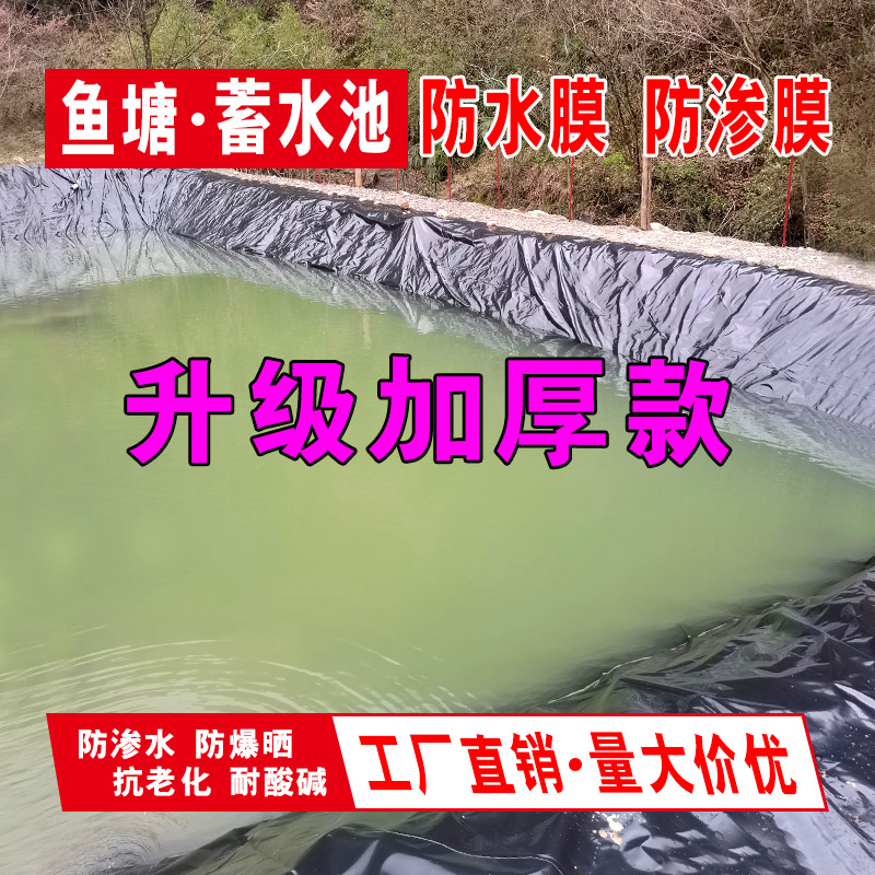 塑料膜加厚防水薄膜塑料布养鱼膜防水布鱼池鱼塘防渗膜土工膜